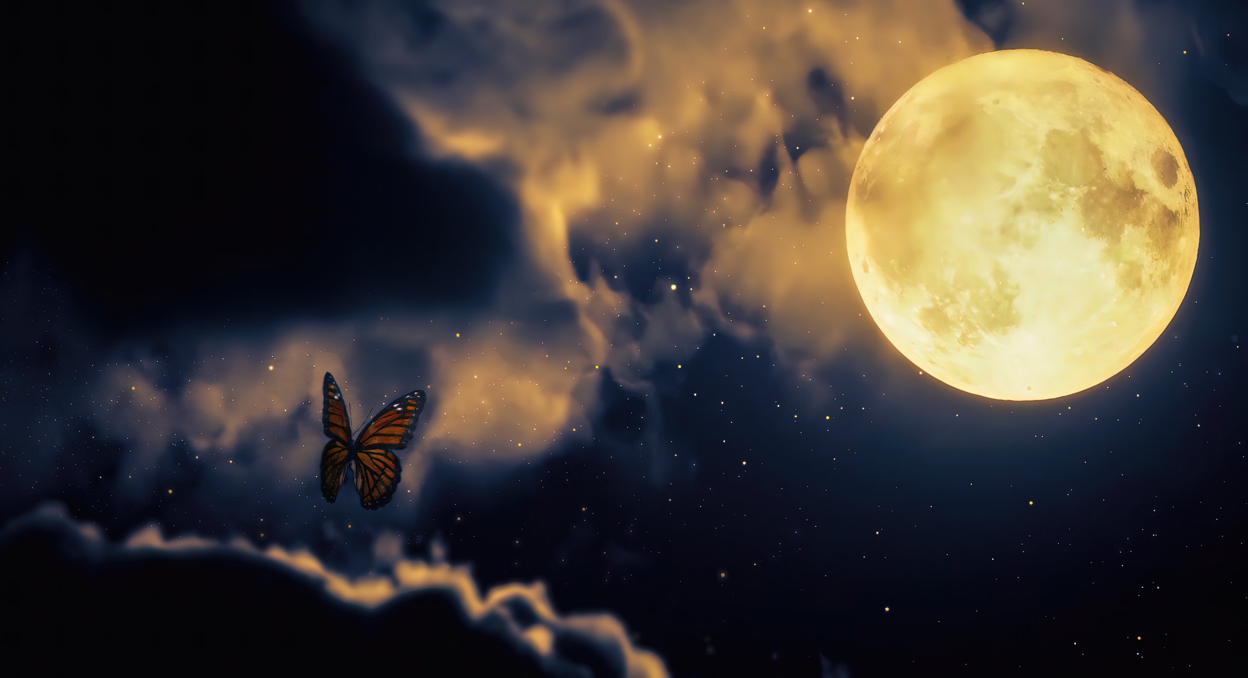 Moon and Butterflies