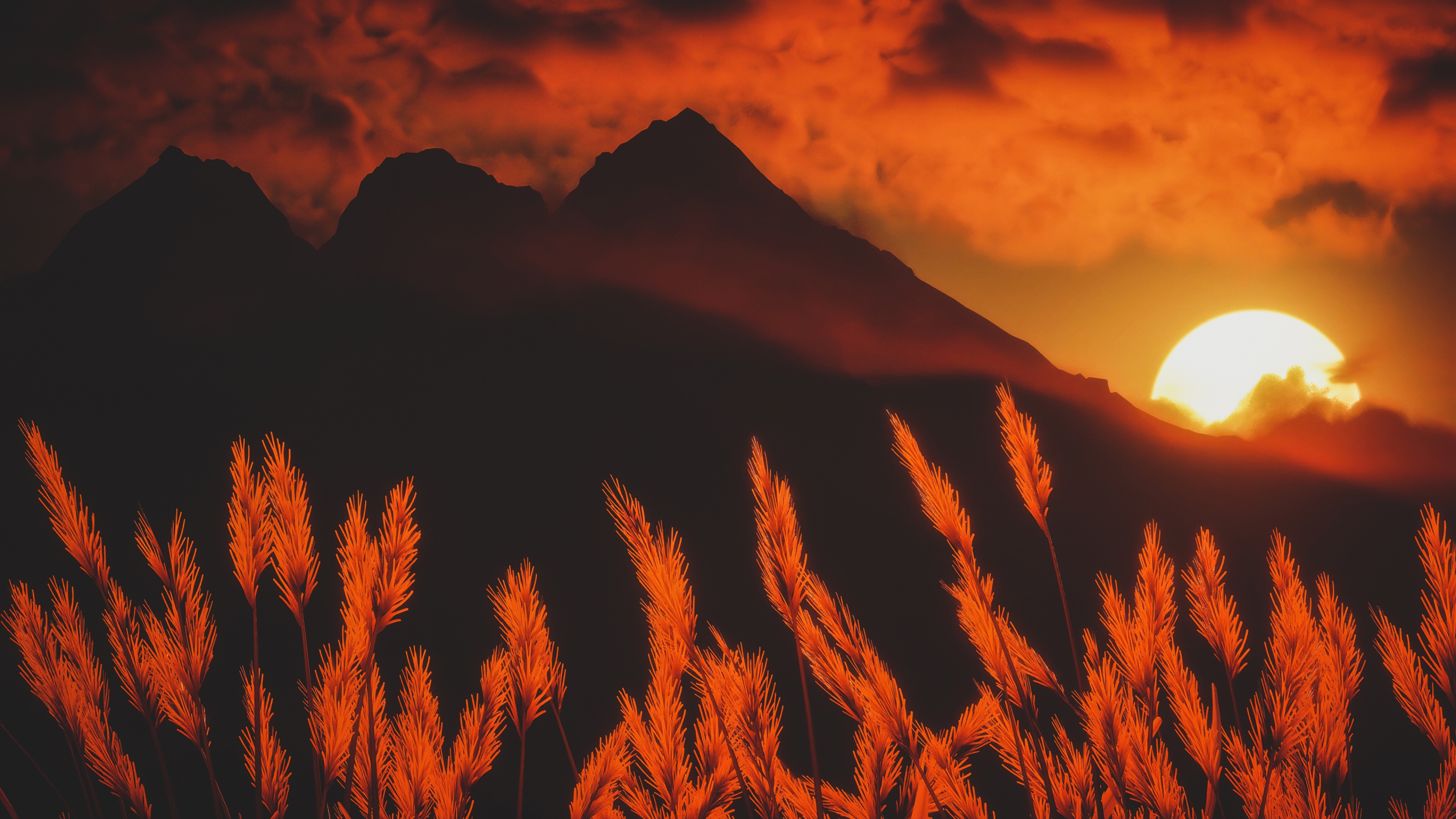 Sawtooth Mountain, the sun, and wheat