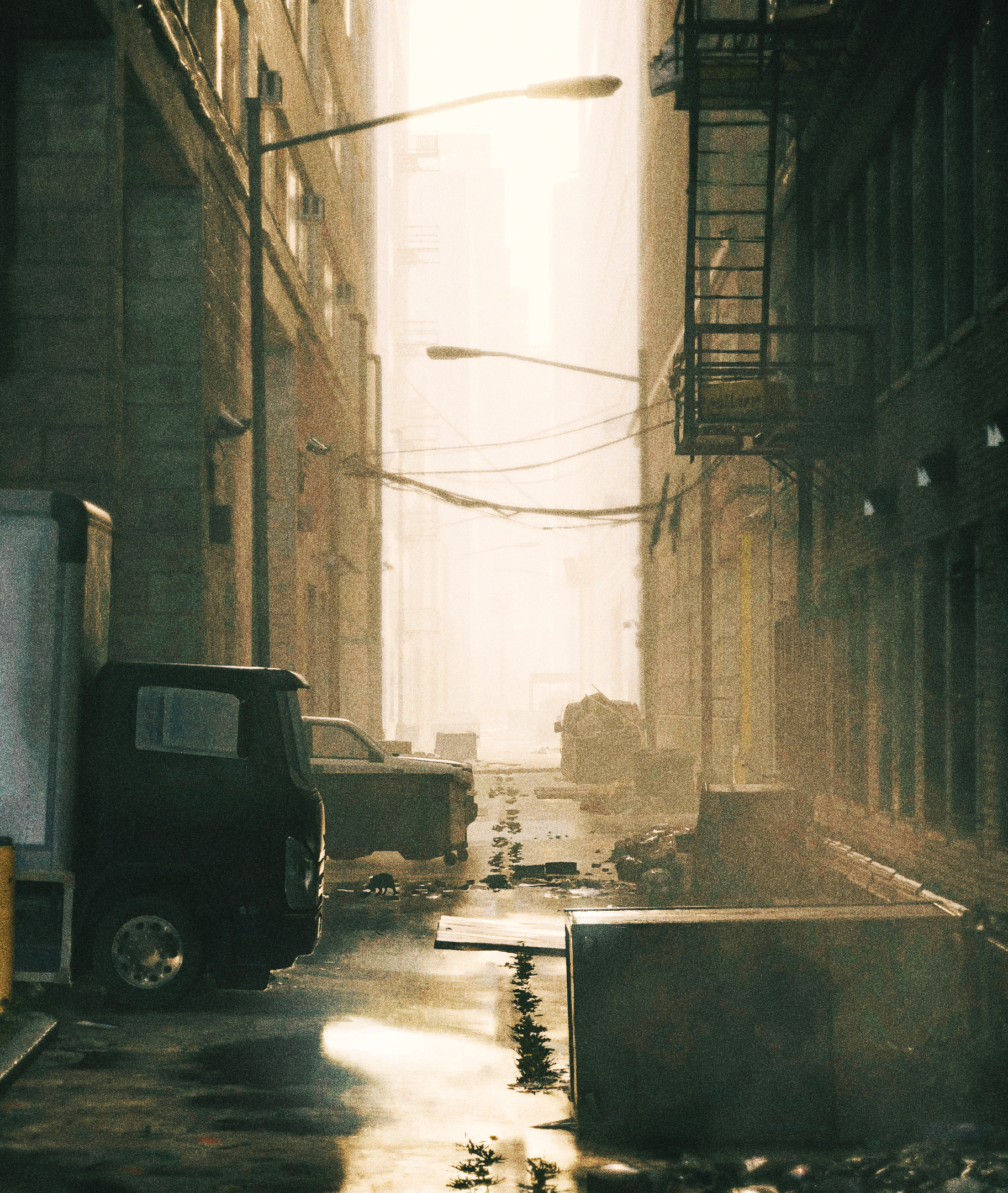 Morning in the back alley